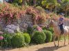 Domaine L’Orangerie de Lanniron Horse Riding