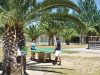 Les Tropiques Table Tennis